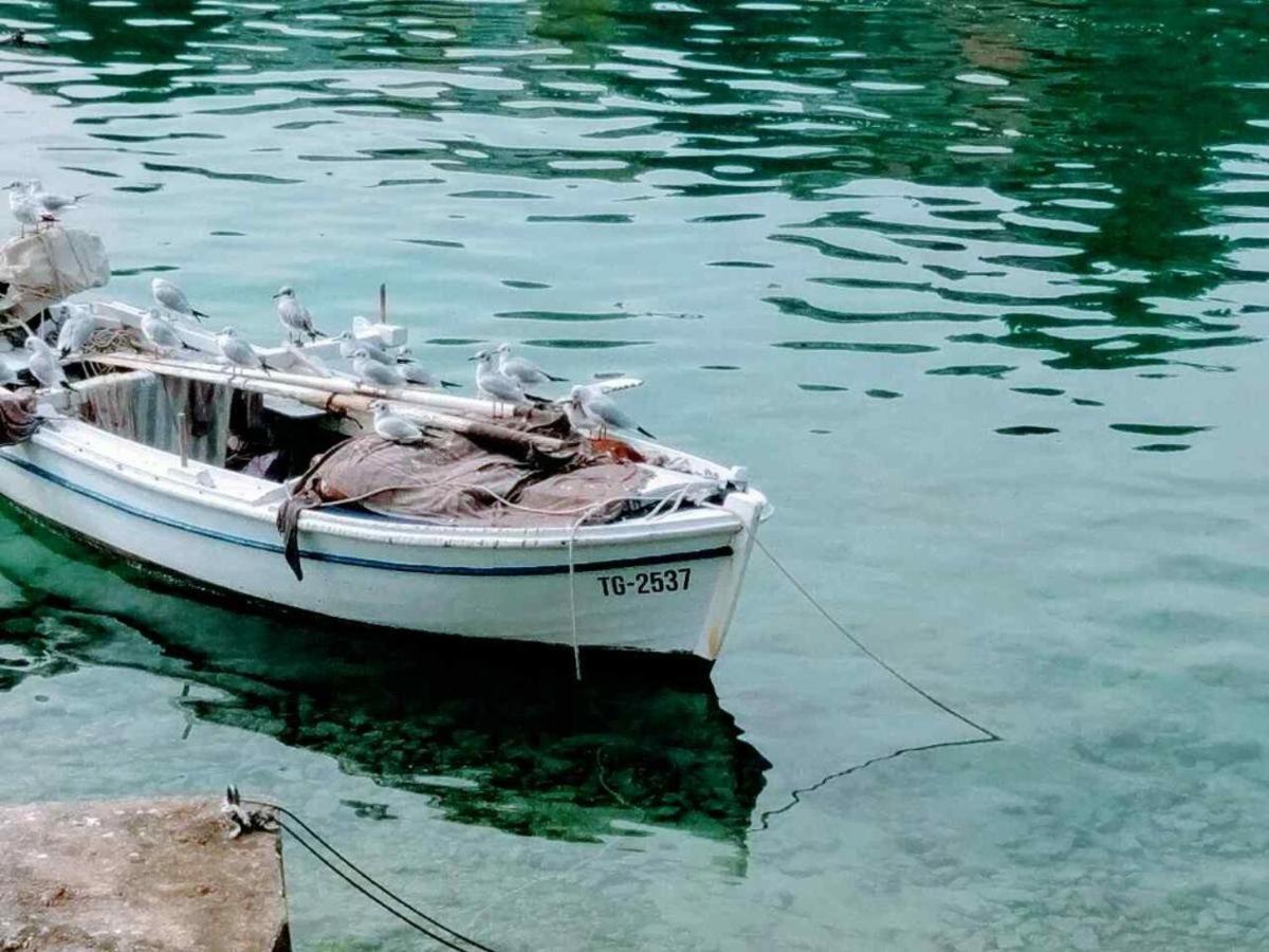 Villa Marta Apartmani Trogir Exteriér fotografie